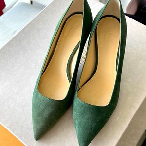 Everlane Editor Heel Suede Pointy Toes